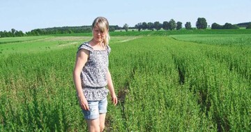 Melisse und Estragon bringen
dem Kruterhof einen besseren
Deckungsbeitrag als Pfefferminze,
Oregano, und Petersilie.