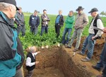 Ulrich Zinßer erläuterte am Bodenprofil unter Zuckerrüben,
welche wichtige Bedeutung Humus für die Bodenfruchtbarkeit hat.