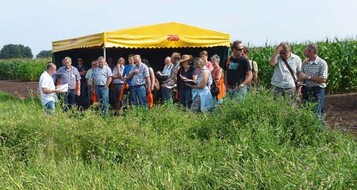 Jonny Visser (PPO Lelystad) prsentiert
am Deutsch-Niederlndischen Feldtag
in Vredepeel/NL die verschiedenen
Mglichkeiten der Nematodenbekmpfung
ber Zwischenfrchte.