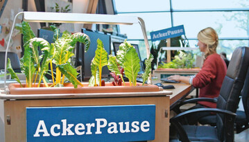Die Indoor-Pflanzksten mit 10 Watt LED-Licht sind eine eigene Entwicklung von Ackerpause. Sie werden in Zusammenarbeit mit Behindertenwerksttten gefertigt.