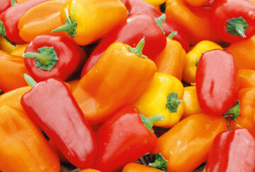 DIe Farben Gelb, Orangerot und Grn sind bei Gemsearten
entscheidend fr die Aufnahme von Vitamin C und
Carotin; sie sollen vor Demenz schtzen.