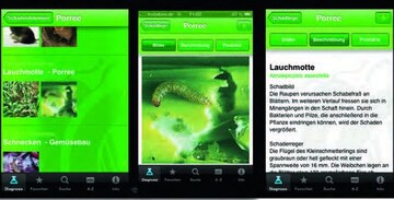 Diagnose Befall durch die Lauchmotte anhand der App Schdlinge der Bayer AG