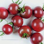 Abbildung 1: ‘Black Cherry’ – eine
historische, samenfeste, schwarze
Kirschtomate