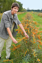 Daniel Schönfelder führt Besucher über die Sanddorn-Plantagen.