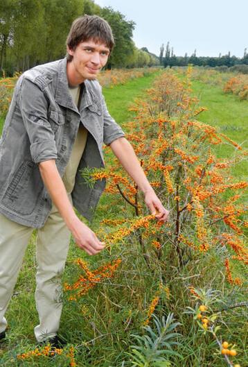 Daniel Schnfelder fhrt Besucher ber die Sanddorn-Plantagen.