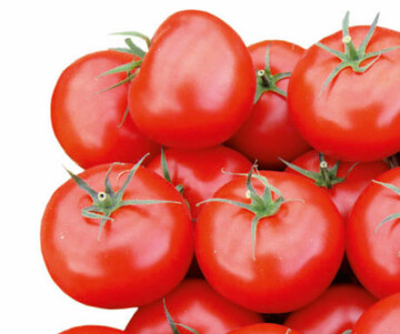 Medikamente aus Tomaten