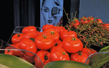 Die Tomate im Fokus: Gegen im Alter abnehmende Lycopingehalte wird der Verzehr von Carotinoid- und Lycopin-reichen Tomaten empfohlen