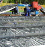 Wie rechnen sich die verschiedenen Foliensysteme im Spargelanbau? Daten gab es auf dem Spargeltag in Karlsruhe.