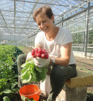 Sabine Wehrle bei der radiesernte unter Glas