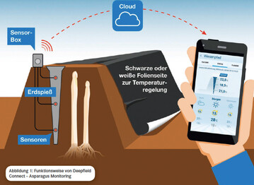 Funktionsweise von Deepfield Connect  Asparagus Monitoring