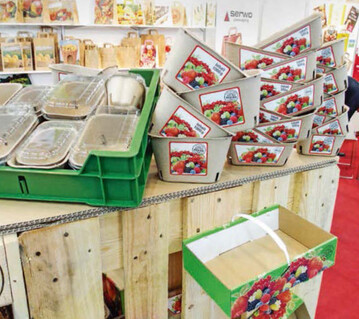 Erdbeerschalen von Serwo Packaging 