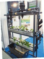 Deepfield Robotics Strawberry Monitoring: Sensoren messen über und unter der Substratoberfläche, im Bild der Feuchtesensor im Erdbeerdamm.