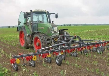 Effektiv ist der Einsatz des Rollstriegels zur
mechanischen Unkrautbekmpfung in Arzneiund
Gewrzpflanzen.
