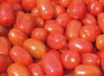 1 „Spitzenreiter“ beim Gehalt an gesundsheitsfördernden Substanzen sind
rote und gelbe Gemüsearten, allen voran Tomaten, Möhren und auch Paprika.