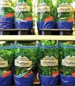 Wenige Top-Produkte und der
Verkauf im Sinne der Mitglieder,
dies zeichnet die Gartenbauzentrale
unter der Leitung
von Karl Voges heute aus.