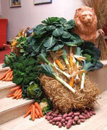 Im Zeichen des Löwen:
Visionen im Gemüsebau
waren ein Thema anlässlich
der 45. Herbsttagung der
Bundesfachgruppe Gemüsebau
in Bensheim.