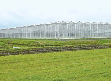 Fast 2 ha gro ist das neue Gewchshaus fr die Produktion von
Bio-Saatgut bei Bejo in Warmenhuizen/NL.
