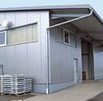 Jede Menge Raum für Marktaufbereitung,
Fahrzeuge,
Kühlraum (5 x 10 m, Roma)
und Saison-Ak-Unterkunft
bietet die neue ausgelagerte
Halle (400 m², Wolf)