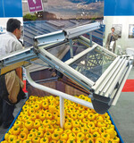 1 Mehr Licht für Pfl anzen, unter anderem
durch das neue 22-mm-Doppelglas von
Boal Lumenex ISO22