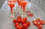 Abbildung 1: Probenvorbereitung
von veredelten Tomaten zur
Untersuchung von Inhaltsstoffen