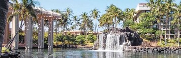 Im malerischen Waikoloa, Hawaii, diskutierten internationale Gartenbauwissenschaftler
ber die Zukunft.