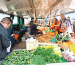 Die klinische Ausprägung von Asthma wurde in Studien
besonders effektiv durch die erhöhte Aufnahme von
Gemüse und Obst vermindert.