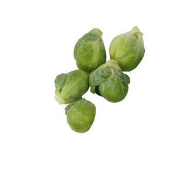 Abbildung 1: Rosenkohl der Sorte
Camus, geerntet am 16. Oktober 2009