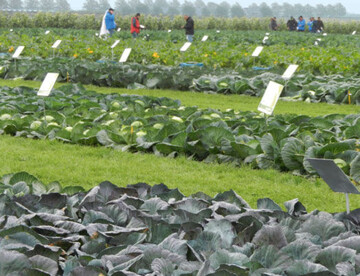 1 Das bewhrte Sortiment, Neuheiten
und Innovationen bei den Open Field
Demo Days 2012 bei Syngenta