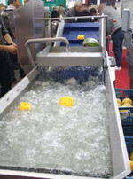 Vor der Weiterverarbeitung entkeimt die Deconwa Prep Waschmaschine von Kronen das Gemüse.