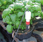 Zur Feuchtemessung sind Sensoren
nötig, die ermöglichen, auch mehrere
Tische als Bewässerungseinheit zu
gruppieren.