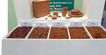 Unterschiedliche
Kokos-Substrate
stellt MeeGaa
Substrates her.