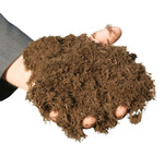 Die Substratfaser
Topora aus heimischen
Holzhackschnitzeln
punktet
durch viele Vorteile.