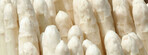 Spargel