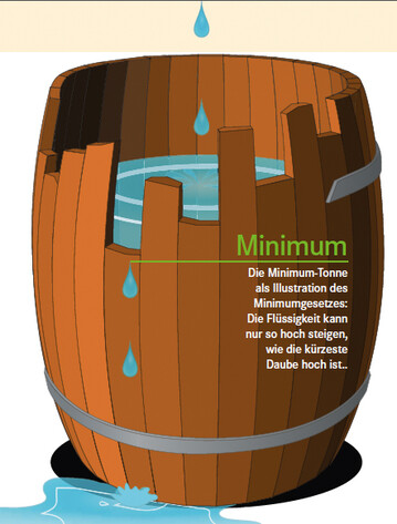 Die Minimum-Tonne als Illustration des Minimumgesetzes: Die Flssigkeit kann nur so hoch steigen, wie die krzeste Daube hoch ist..
