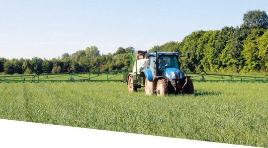 Bei der Zulassung von Pflanzenschutzmitteln sind zuerst die klein umfänglich kultivierten Pflanzenarten betroffen, die in Deutschland schon heute um das Überleben kämpfen.