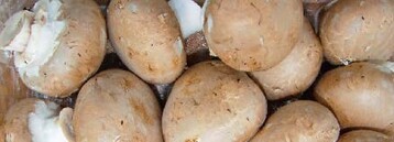 Verzehrmonitor: Pilze