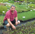 Wenn der Prophet nicht zum Berg kommt, ..., Herb’s, Dötlingen