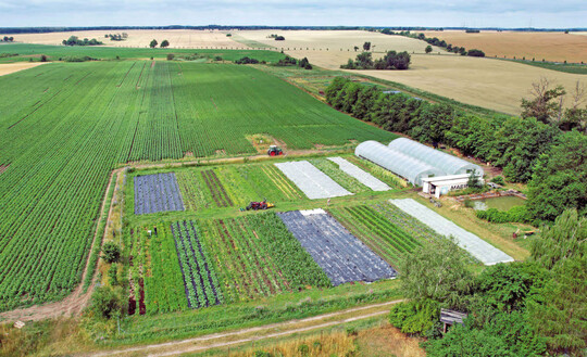 Tiny Farm in Steinhfel, im Landkreis Oder-Spree in Brandenburg.