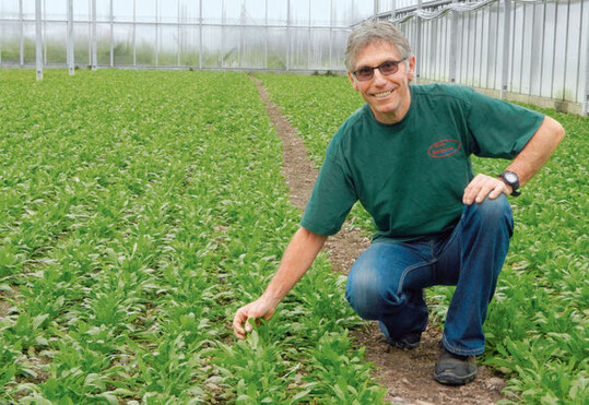 Klaus Deggelmann produziert Kr�uter und
Gem�se auf der Insel Reichenau.