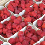 Vom Strauch 2015 allein 8.990 t Beeren