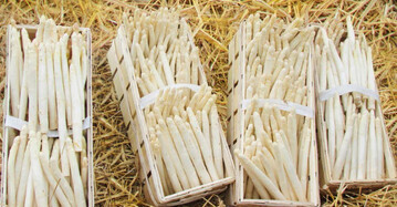 Die kleine Marktstudie: Spargel
