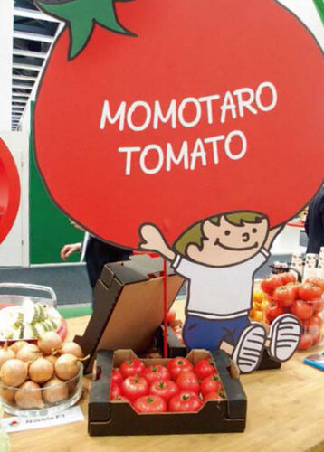 Momotaro-Tomaten mit Umami- Geschmack von Takii