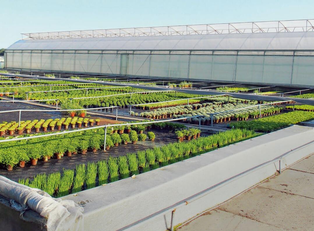 Im ehemaligen Zierpflanzenbetrieb Rankers werden heute „LA‘BIO!“-Topfkräuter im Gewächshaus und im Freiland biologisch produziert und über Fachgartencenter verkauft.