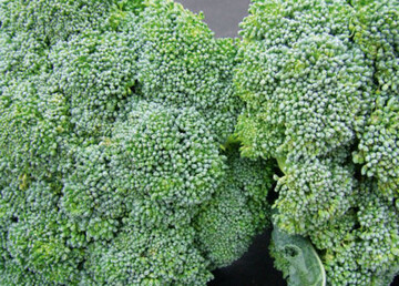 Brassica-Gemse kann als ditetische Komponente
die Beschwerden bei Morbus Crohn mildern.