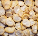 Typisches Paprikasaatgut auf einer Fotofläche von: 15 x 15 mm = 2,25 cm2