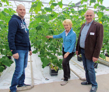 Christian, Erni und Bernd Drechsler
produzieren Tomaten und Gurken
und vermarkten ber den Nrnberger
Gromarkt.