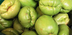 Sechium edule, die fleischige, nicht roh verzehrbare Chayote- Frucht, wird professionell in Costa Rica angebaut und in Schiffscontainern weltweit exportiert.
