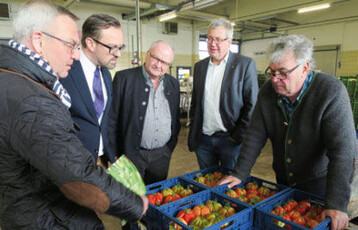Der stellvertretende Vorsitzende der Bundesfachgruppe
Wilhelm Böck (r.) erläuterte in seinem Gemüsebaubetrieb
in Neufahrn die Vielfalt und Frische
der geschmackvollen Tomatensorten. Zu Besuch im
Betrieb Böck waren (v.l.n.r.): ZVG-Präsident Jürgen
Mertz, ZVG-Generalsekretär Bertram Fleischer,
der Präsident des Bayerischen Gärtnereiverbands
Roland Albert und der Vizepräsident des Bayerischen
Gärtnereiverbands Hermann Bertenbreiter.