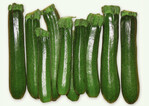 Zucchini