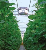 Titelthema: Mehr Erfolg mit vertikal
arbeitenden Ventilatoren